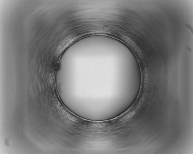X0000102510985200808291730