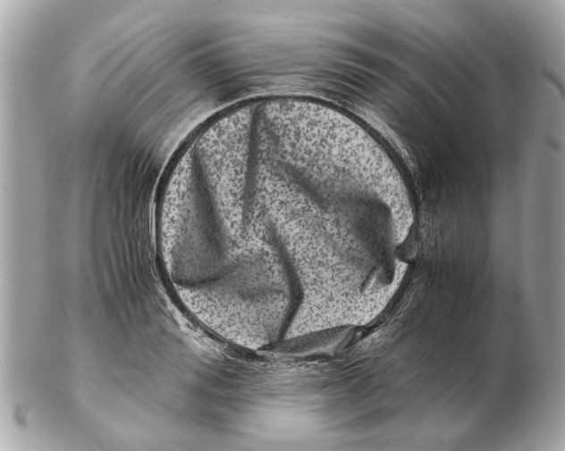 X0000102510988200808291730