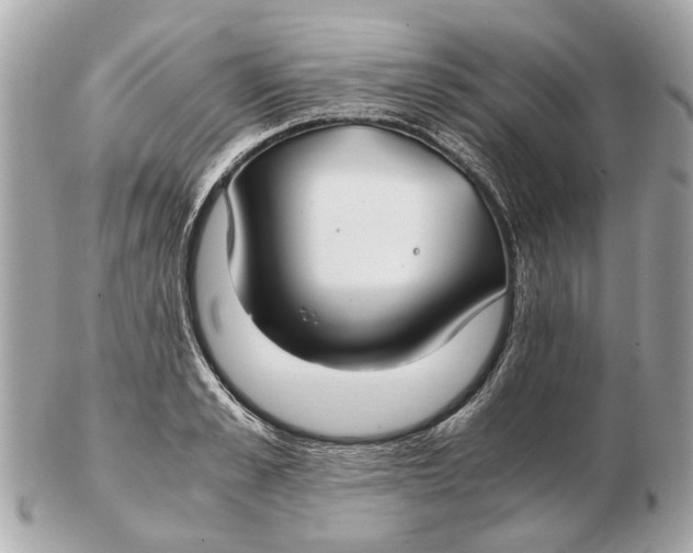 X0000102510989200808291730