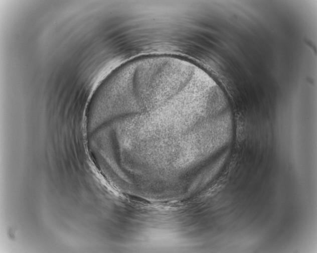 X0000102510990200808291730