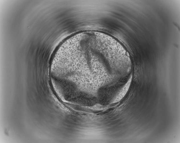 X0000102510992200808291730