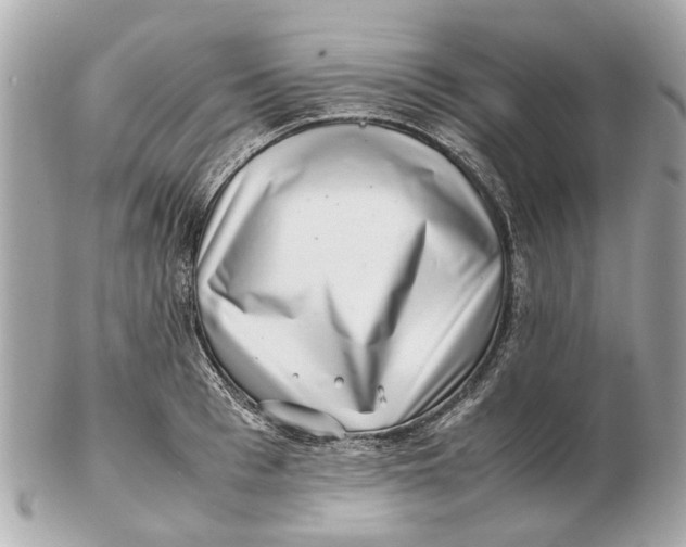 X0000102510993200808291730
