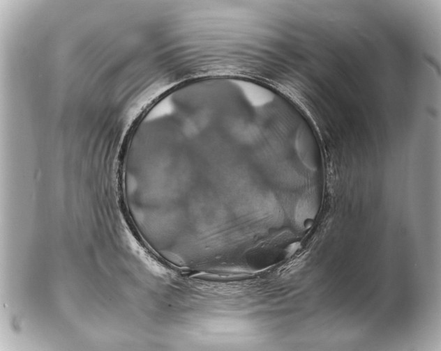X0000102510995200808291730