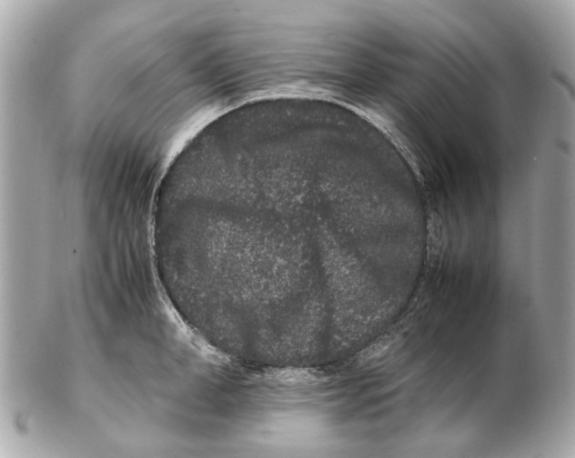 X0000102510998200808291730