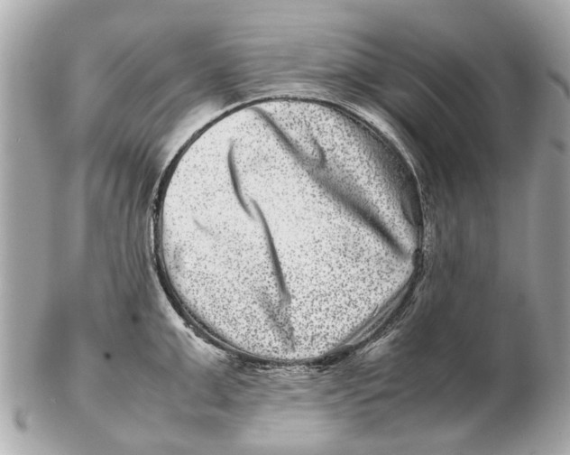 X0000102510999200808291730