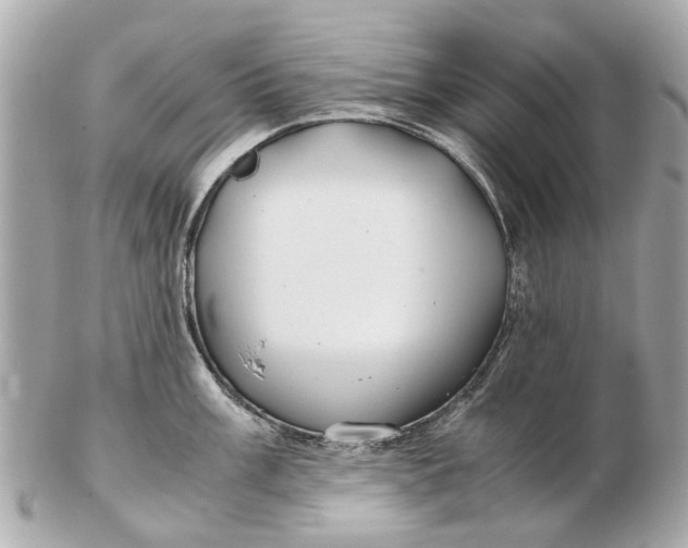 X0000102511003200808291730