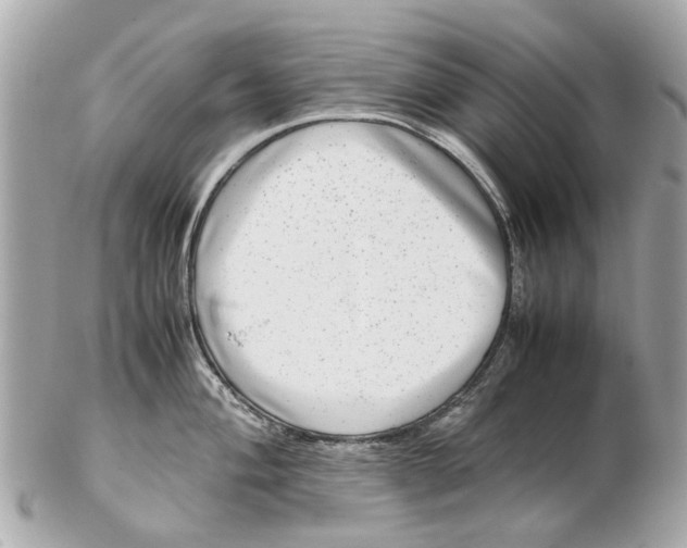 X0000102511004200808291730