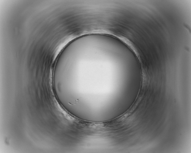 X0000102511006200808291730