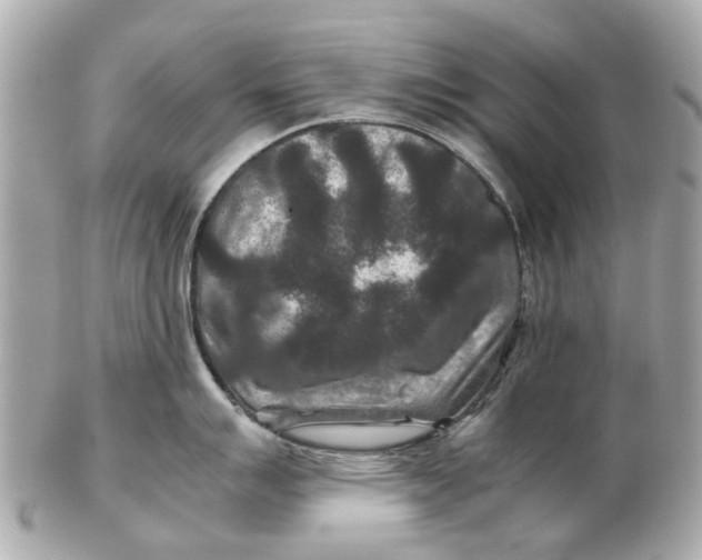 X0000102511007200808291730