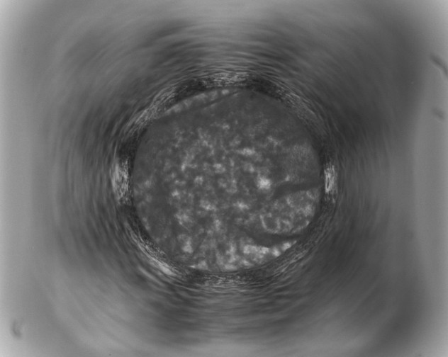 X0000102511011200808291729