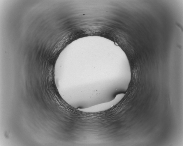 X0000102511012200808291729