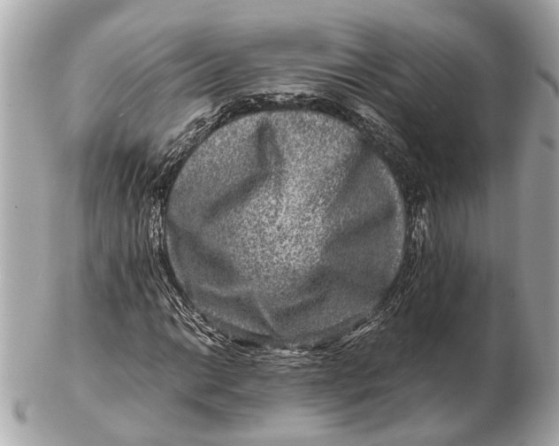 X0000102511014200808291729