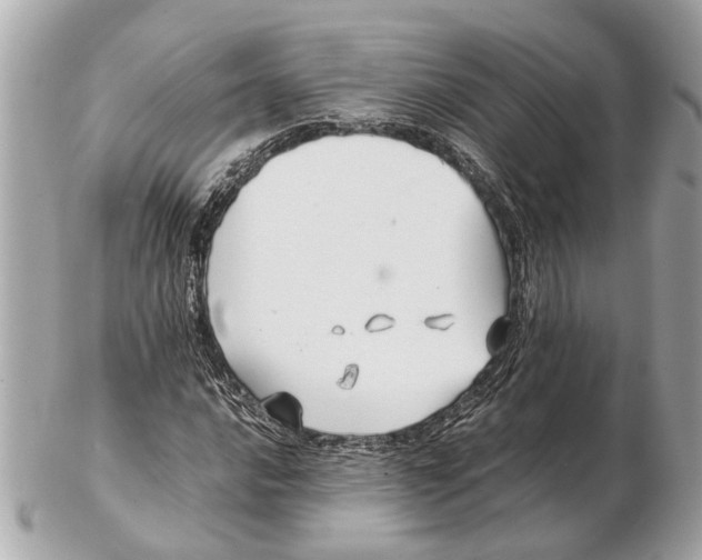 X0000102511016200808291729