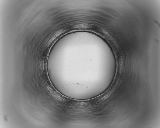 X0000102511017200808291729