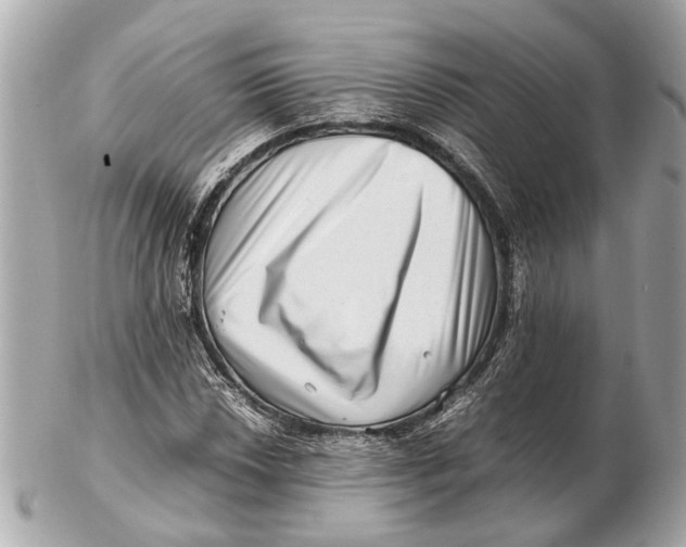 X0000102511018200808291729