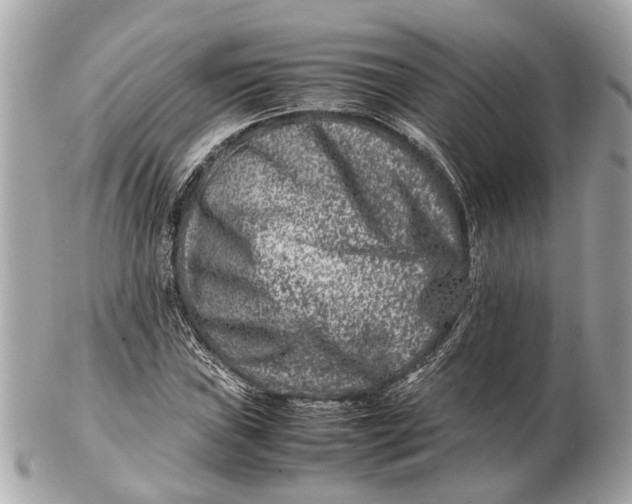 X0000102511019200808291729