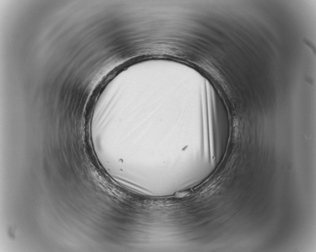 X0000102511020200808291729