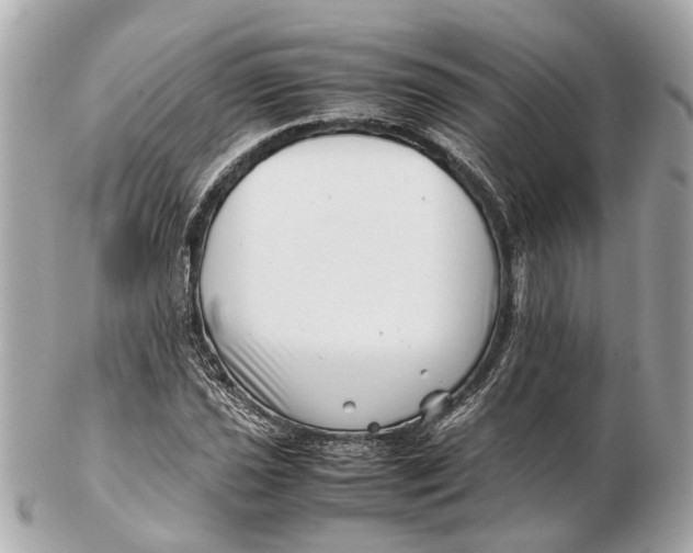 X0000102511021200808291729