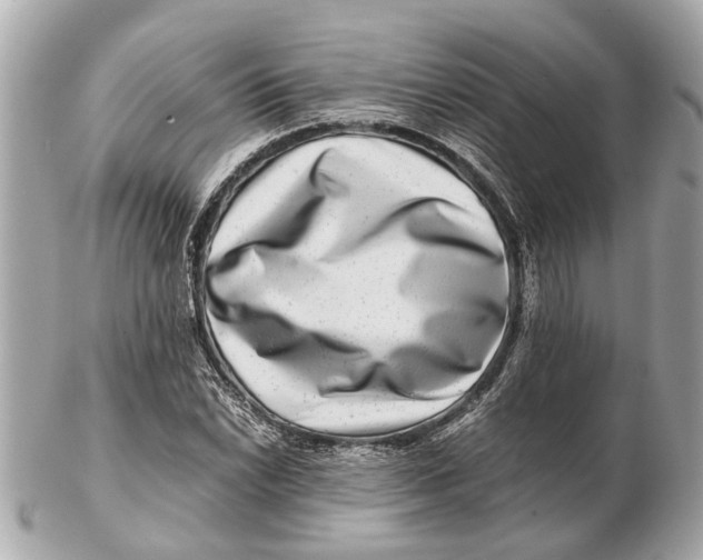 X0000102511022200808291729