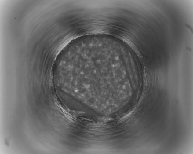 X0000102511023200808291729