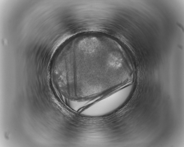 X0000102511024200808291729