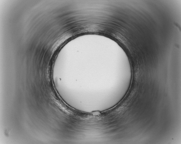 X0000102511026200808291729