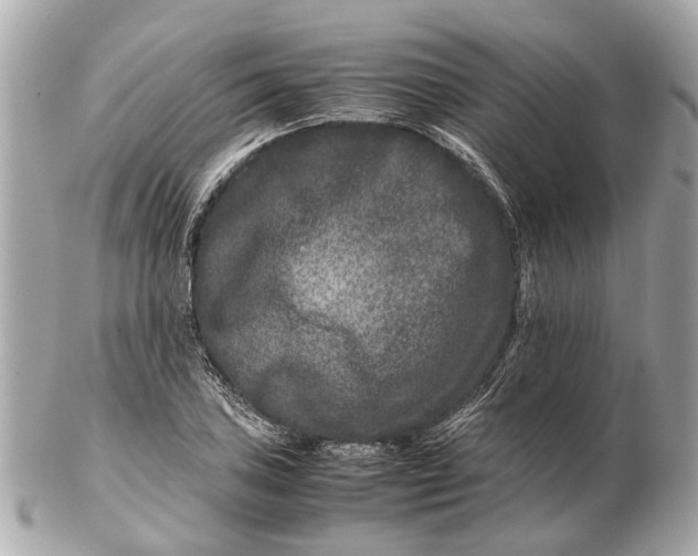 X0000102511027200808291729