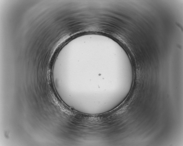 X0000102511029200808291729