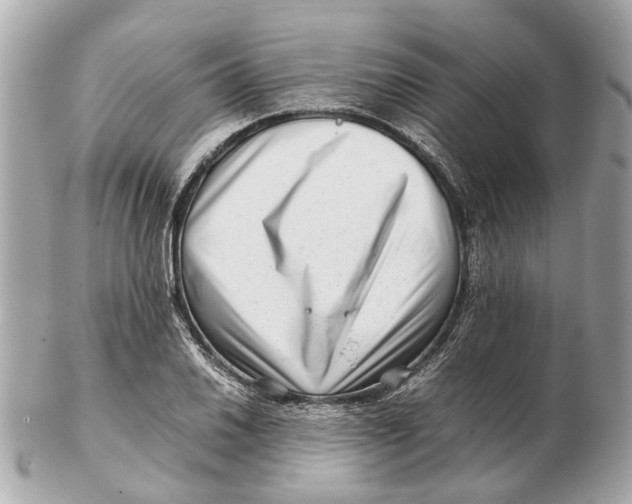 X0000102511030200808291729