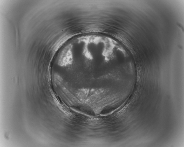 X0000102511031200808291729