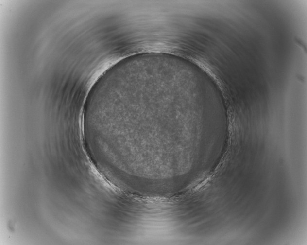 X0000102511032200808291729