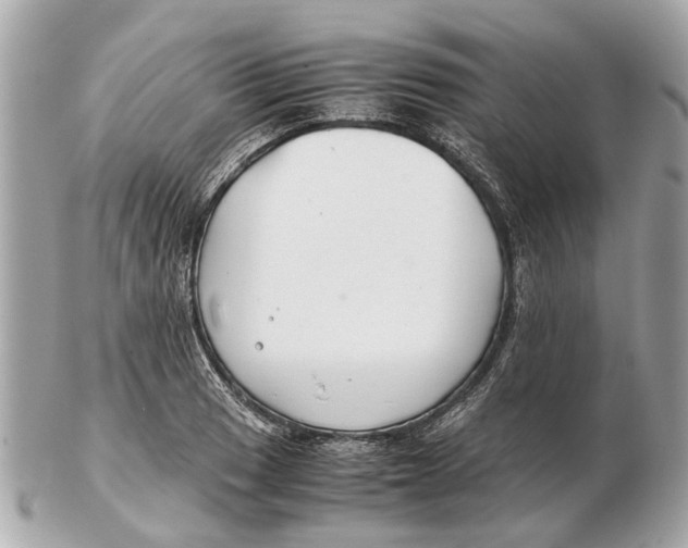 X0000102511033200808291729