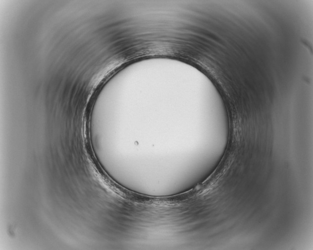X0000102511034200808291729