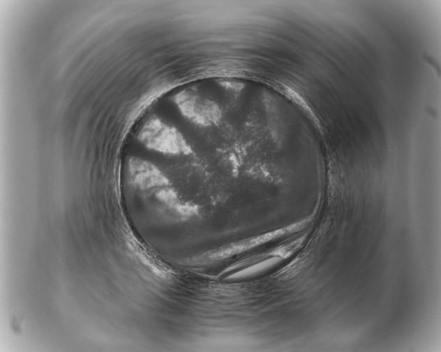 X0000102511035200808291729