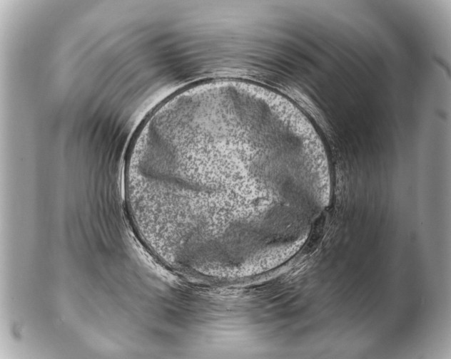 X0000102511036200808291729