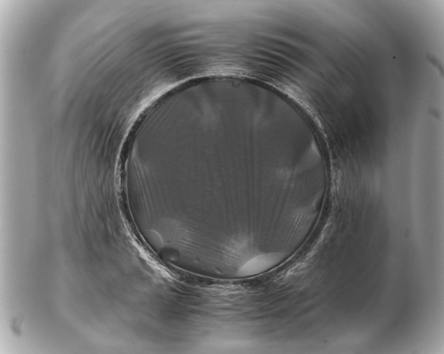 X0000102511037200808291729