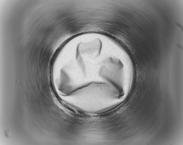 X0000102511038200808291729