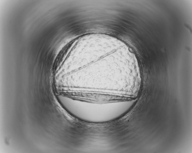 X0000102511040200808291729