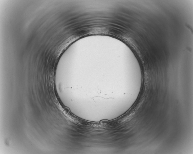 X0000102511041200808291729