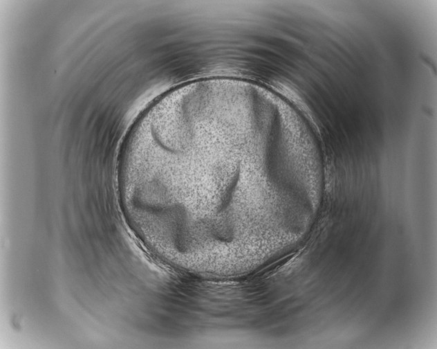 X0000102511043200808291729