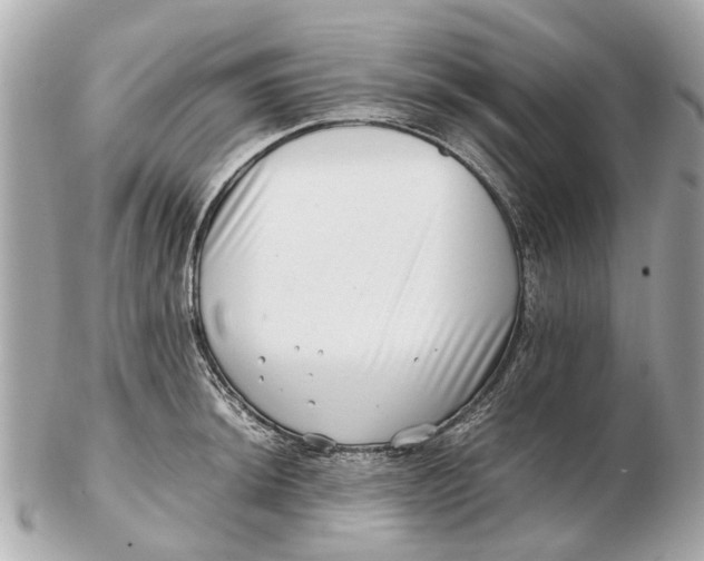 X0000102511044200808291729