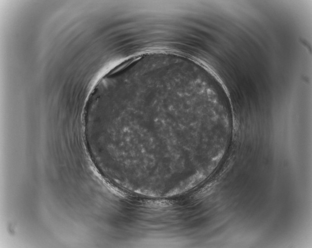 X0000102511045200808291729