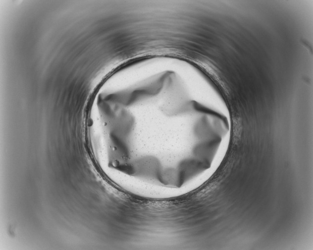 X0000102511046200808291729