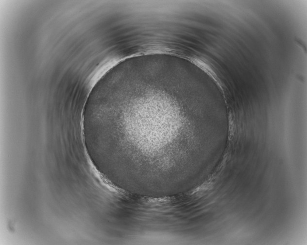 X0000102511047200808291729