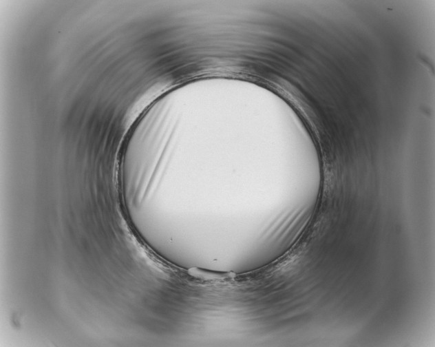 X0000102511050200808291729