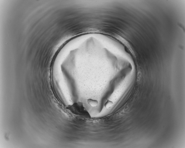 X0000102511051200808291729