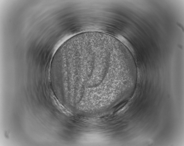 X0000102511052200808291729