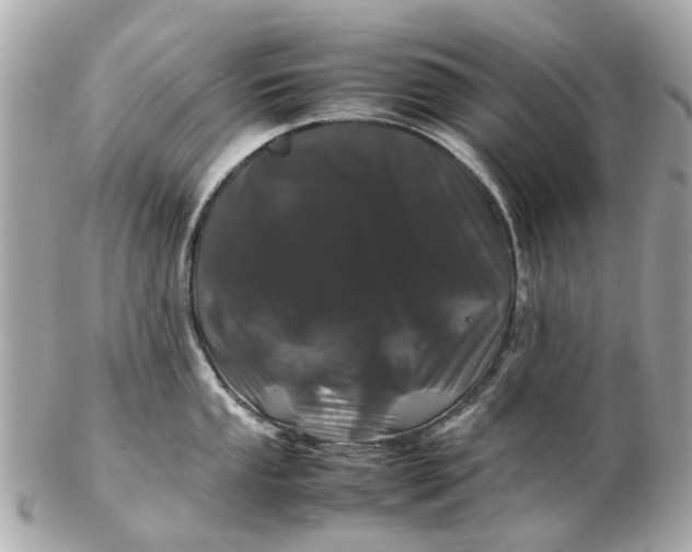 X0000102511053200808291729