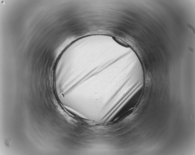 X0000102511054200808291730