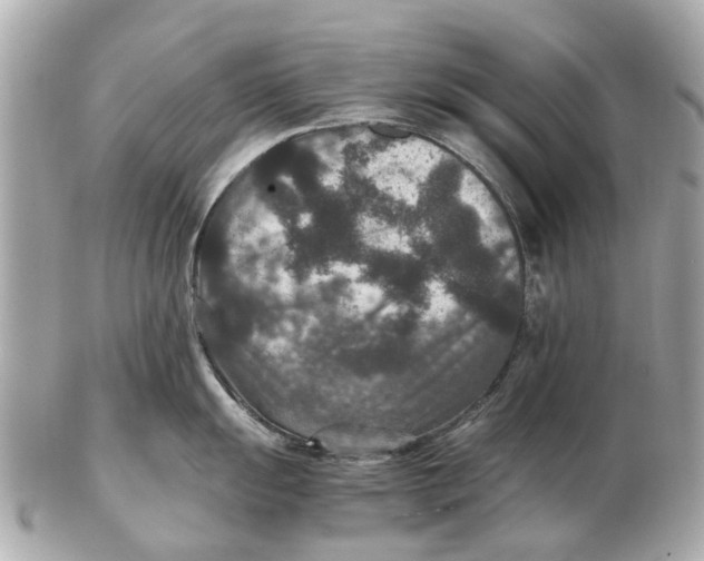 X0000102511055200808291730